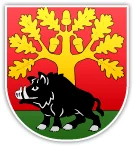Herb: Gmina Stężyca
