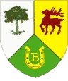 Herb: Gmina Bytnica