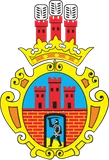 Herb: Radomsko
