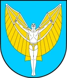 Herb: Gmina Radgoszcz