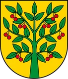 Herb: Gmina Wiśniew