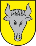 Herb: Dynów