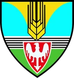 Herb: Gmina Duszniki