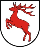 Herb: Powiat brodnicki